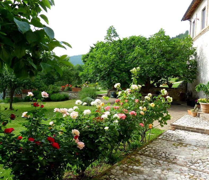 All Stone Horse Stable Converted To Elegant Apartment - Baltimora Spoleto Luaran gambar
